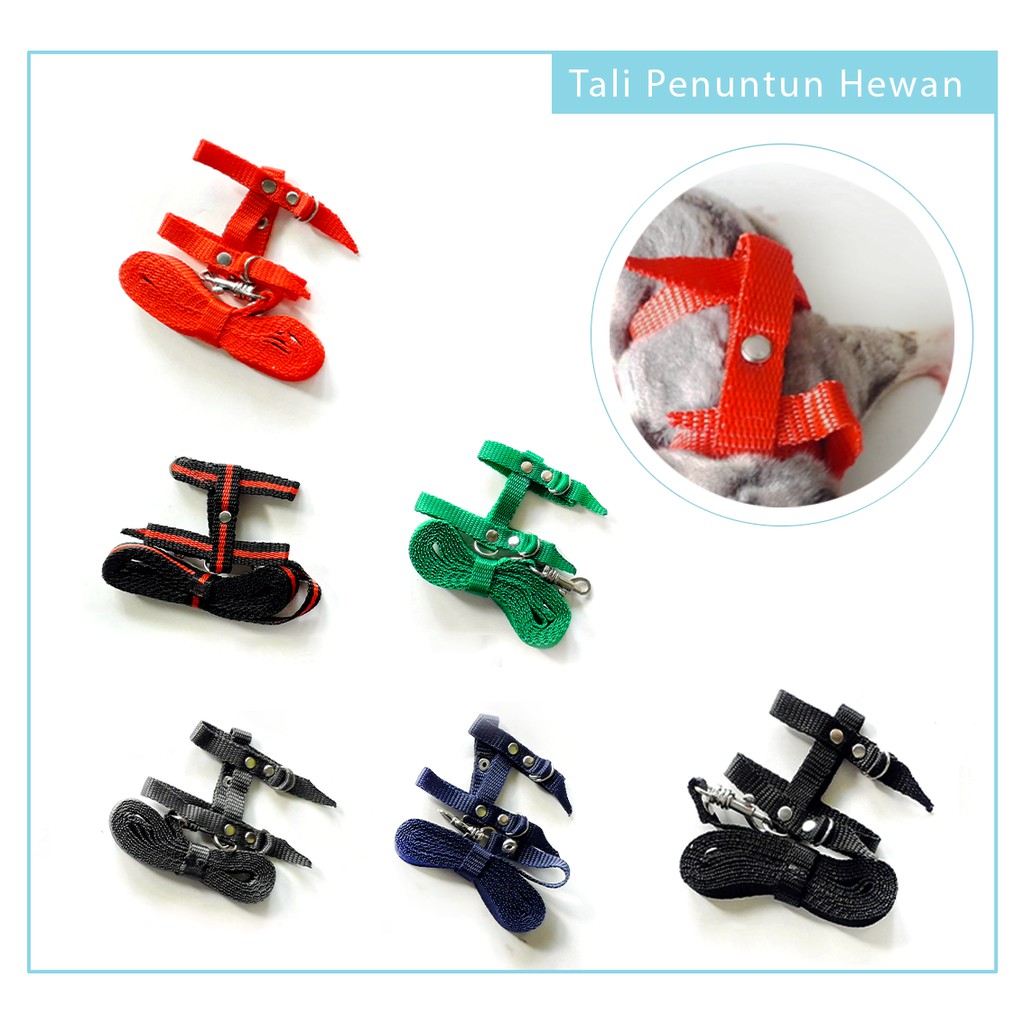 ADEWAP GLIDER Harness H Tali Penuntun Sugar Glider - 3