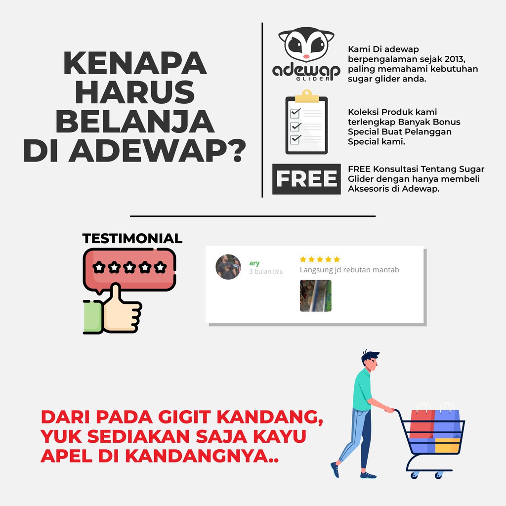 ADEWAP GLIDER Natural Apple Orchard Chew Stick Kayu Apel Gigitan Perawatan Gigi Sugar Glider - 5
