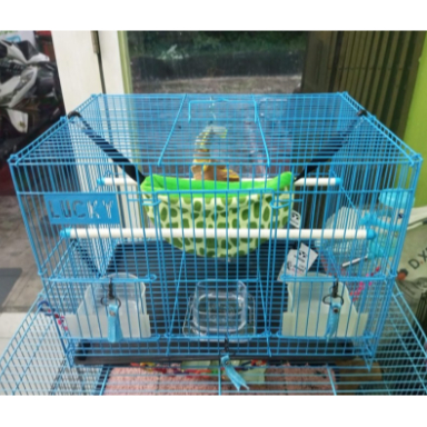 ADEWAP GLIDER Paket Kandang Small Plus Lengkap - 2