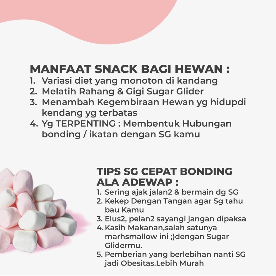 GROSIR Mini Marshmallow Marshmellow sugar Glider 35gr Reseller - 3