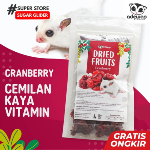 ADEWAP GLIDER Dried Cranberry Fruit Camilan Buah Kering Sugar Glider - 6