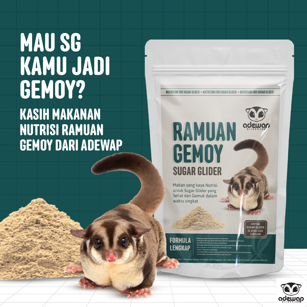 ADEWAP GLIDER Ramuan Gemoy Protein Premix Formula dan Nutrisi Komplit Sugar Glider - 2