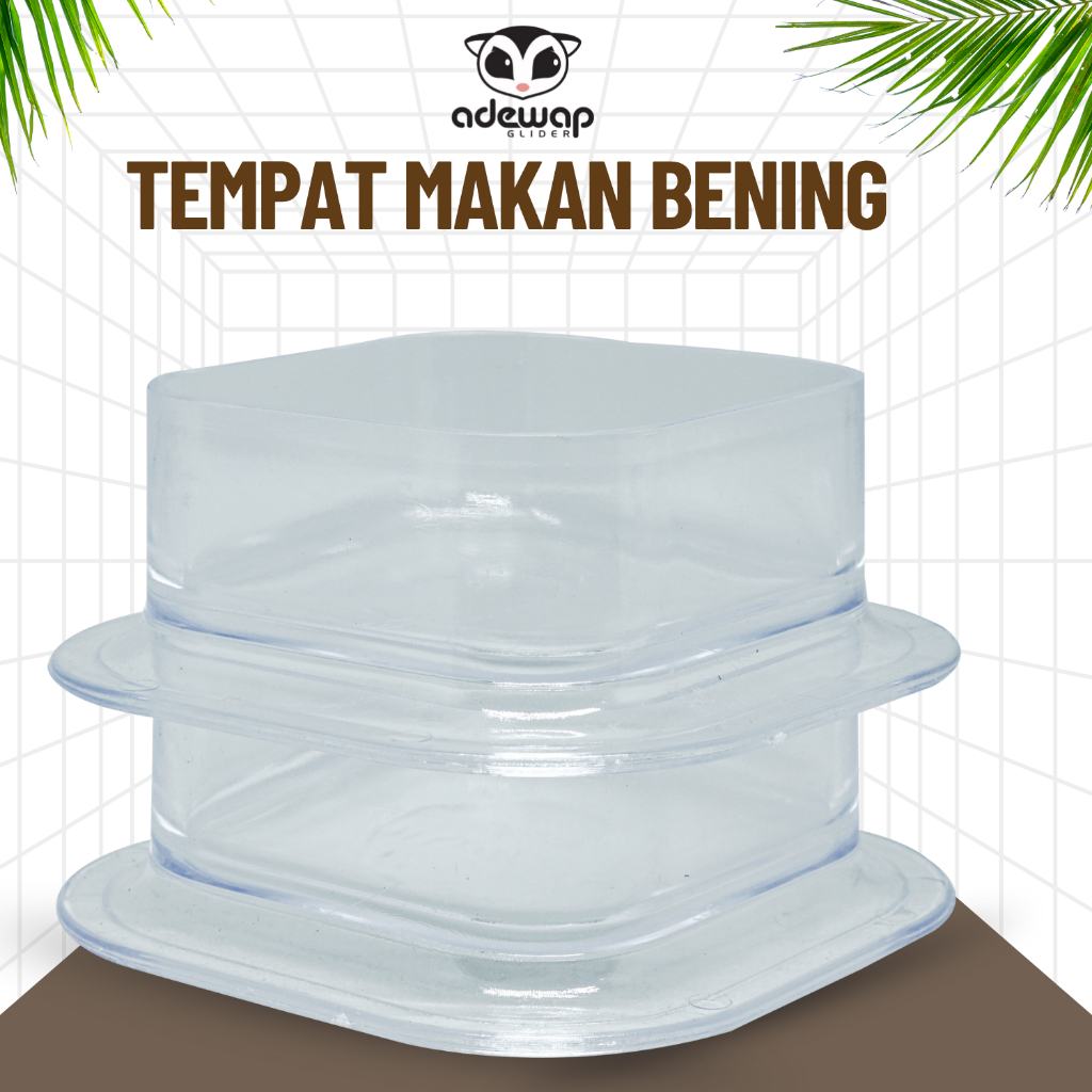 ADEWAP GLIDER Tempat Makan Bening Sugar Glider
