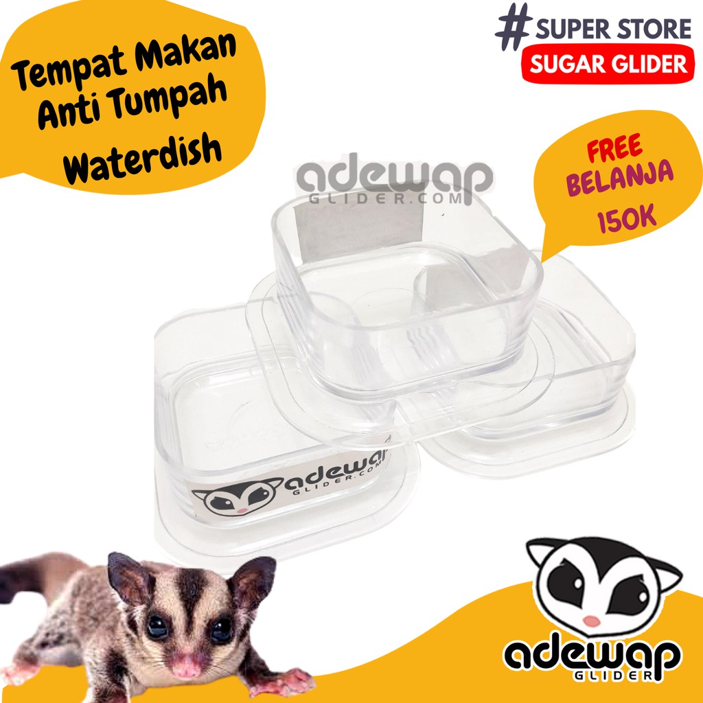 ADEWAP GLIDER Tempat Makan Bening Sugar Glider - 3
