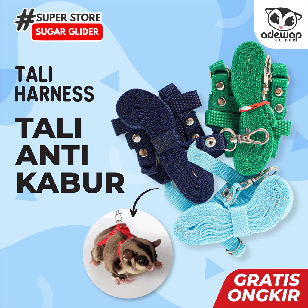 ADEWAP GLIDER Harness H Tali Penuntun Sugar Glider