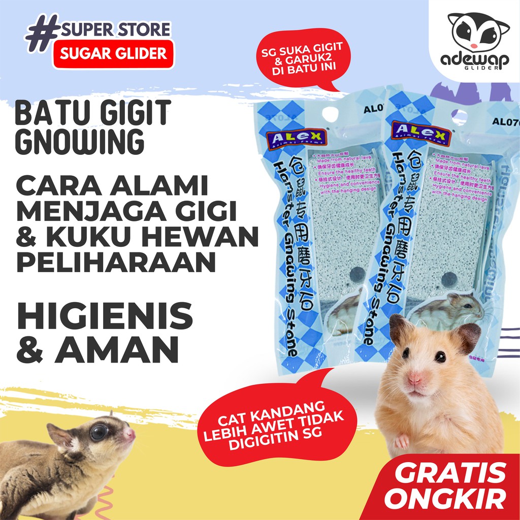 ADEWAP GLIDER Batu Terapi Gigitan Gnawing Stone Sugar Glider - 2
