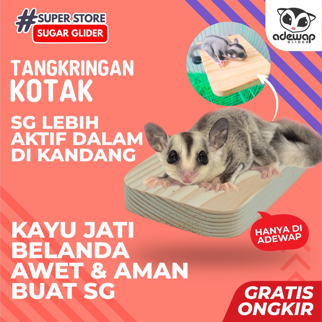 ADEWAP GLIDER Tangkringan Kandang Hewan Kotak Sugar Glider - 2