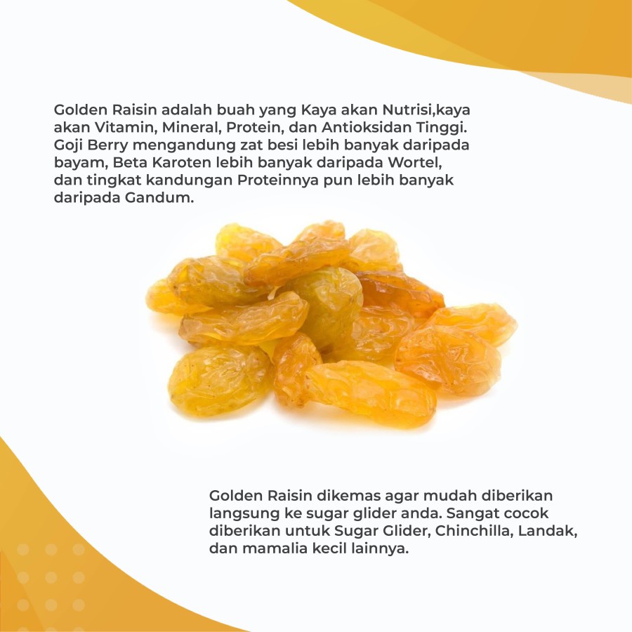 ADEWAP GLIDER Golden Raisin Dried Fruit Buah Kismis Camilan Sugar Glider - 2
