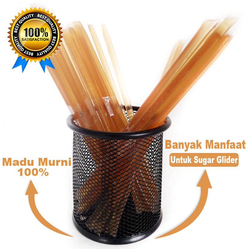 Honey Stick Madu untuk Belajar bonding menjinakkan sugar glider - 2