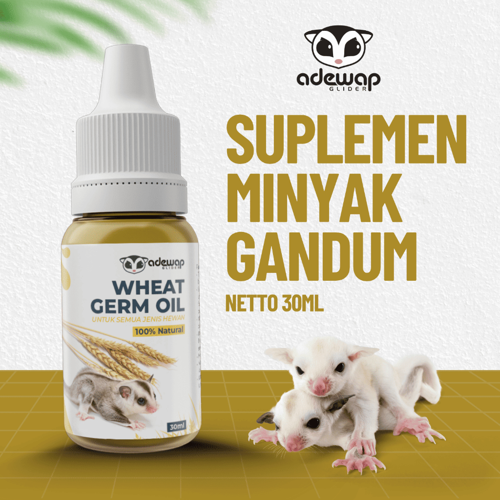 ADEWAP GLIDER Minyak Gandum Wheat Germ Oil Vitamin Sugar Glider - 2