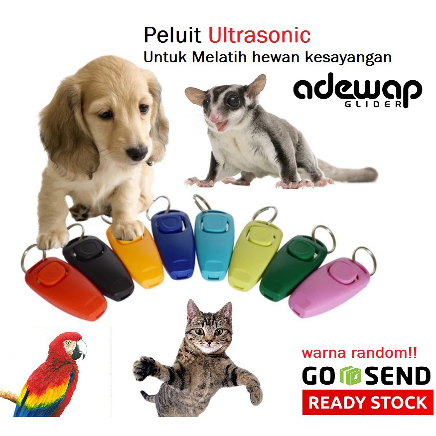 ADEWAP GLIDER Clickers Peluit Ultrasonic Alat Latihan Sugar Glider - 6