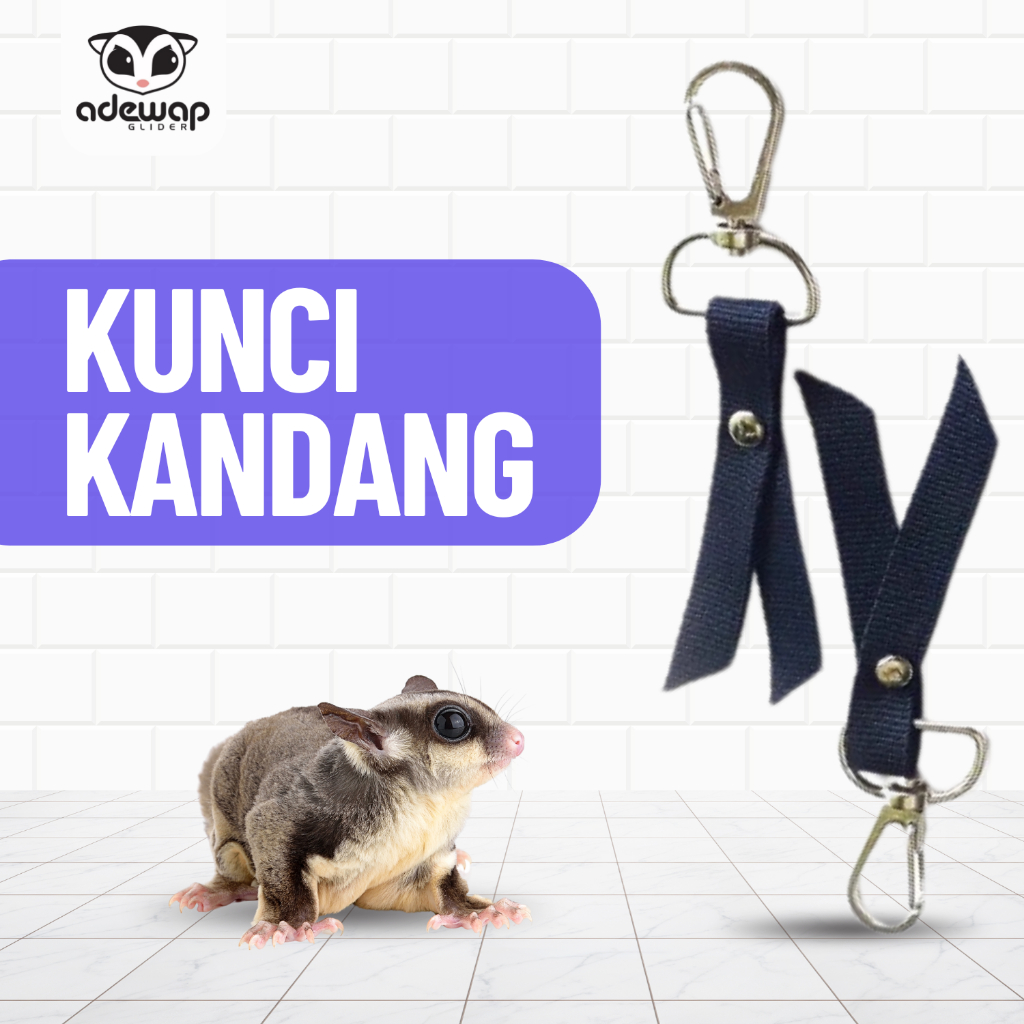 ADEWAP GLIDER Cage Lock Kunci Kandang Sugar Glider