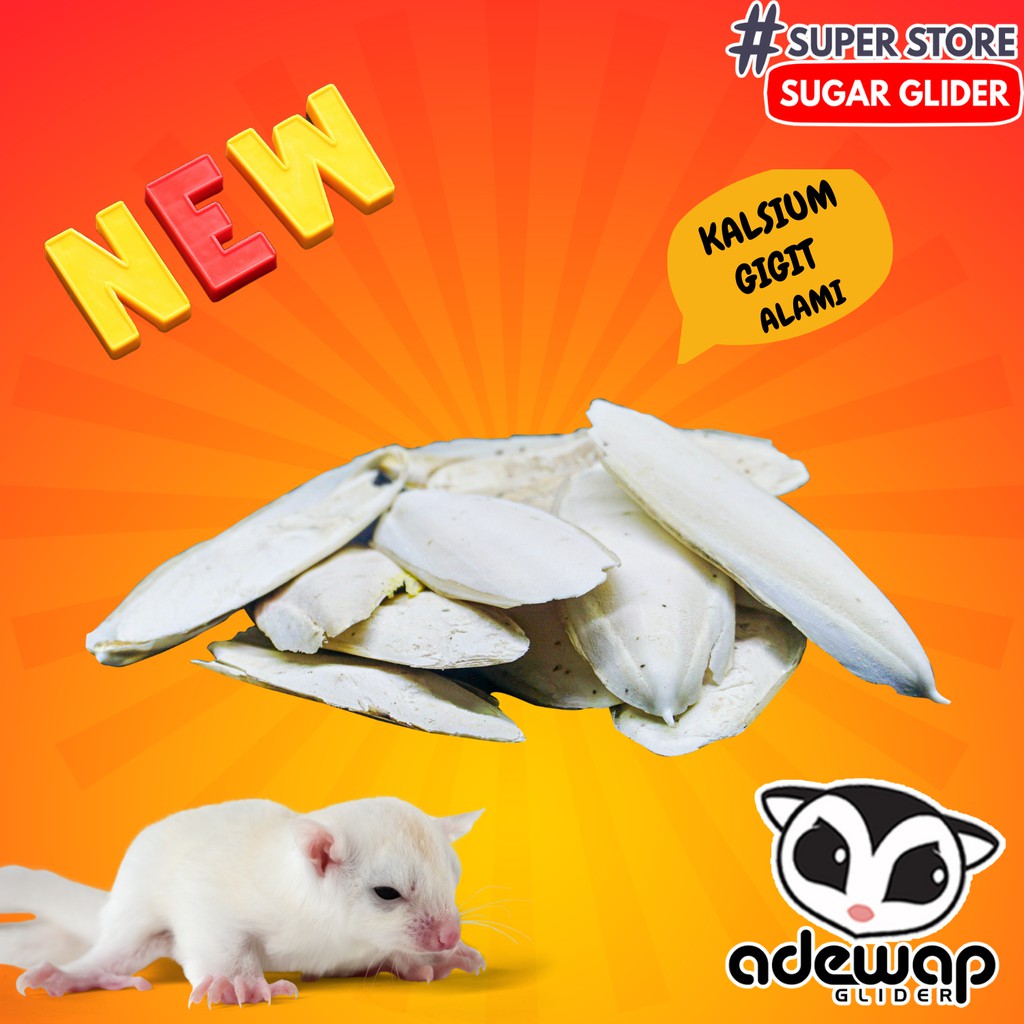 ADEWAP GLIDER Kalsium Tulang Sotong Kering Asinan Gigitan Sugar Glider - 2