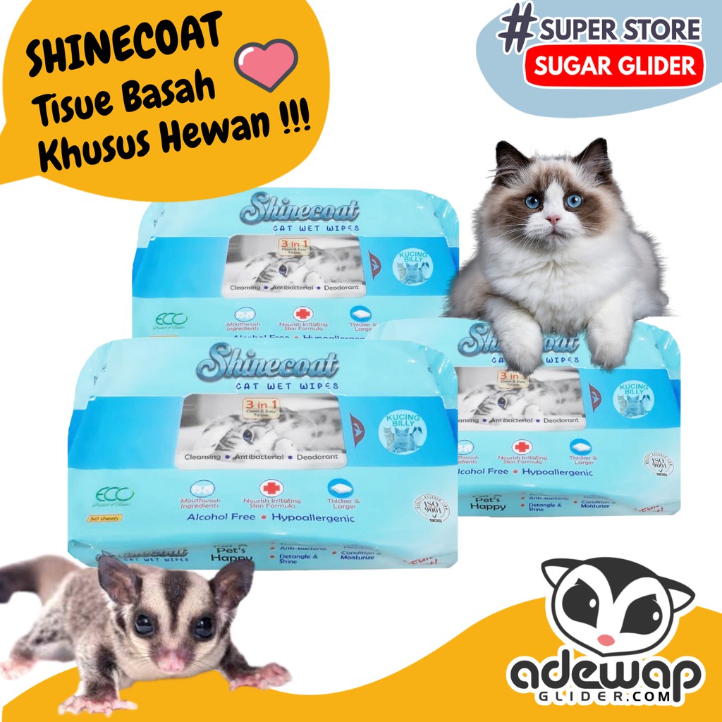 ADEWAP GLIDER Shinecoat Tisue Basah Hewan Peliharaan Sugar Glider - 2