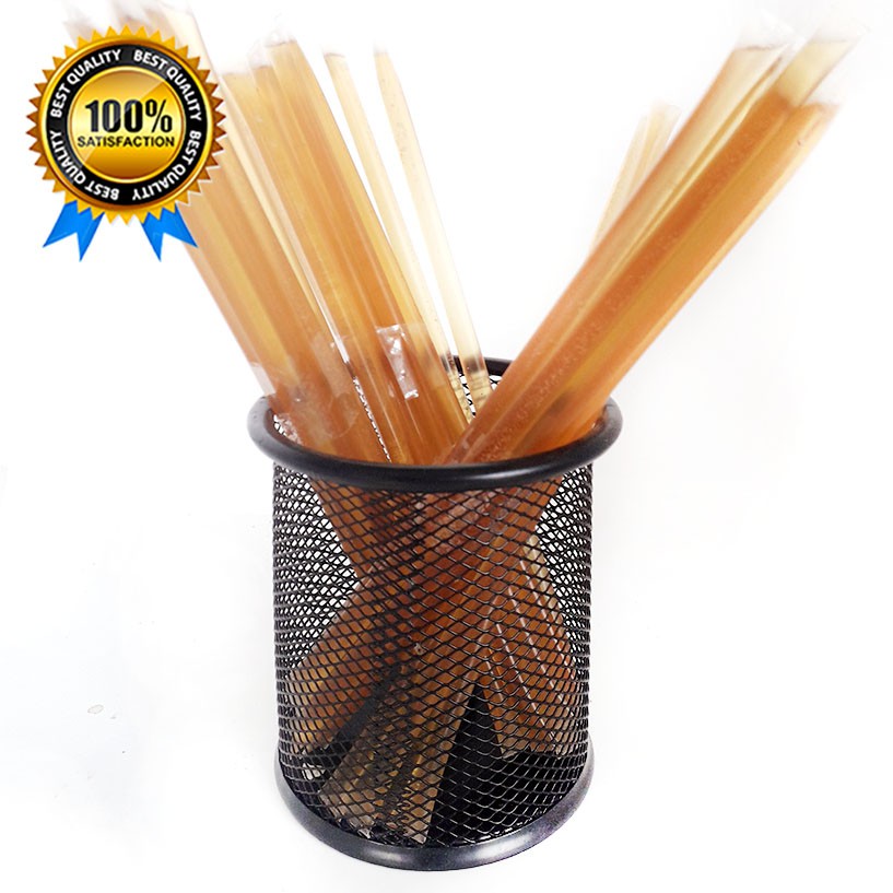 Honey Stick Madu untuk Belajar bonding menjinakkan sugar glider - 3