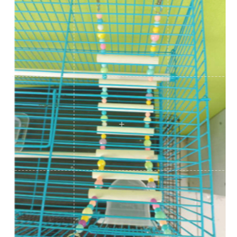 ADEWAP GLIDER Tangga Flanel Mainan Panjat Sugar Glider - 7