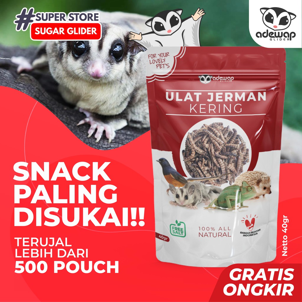 ADEWAP GLIDER Ulat Jerman Kering Dried Super Worm Cemilan Sugar Glider - 40gr - 8