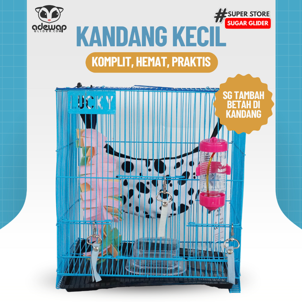 ADEWAP GLIDER Paket Hemat 7! Kandang Small Perlengkapan Pemeliharaan Sugar Glider - 5