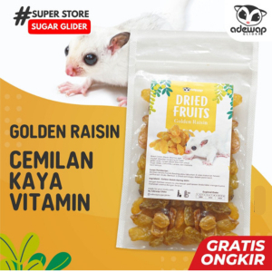 ADEWAP GLIDER Golden Raisin Dried Fruit Buah Kismis Camilan Sugar Glider - 7