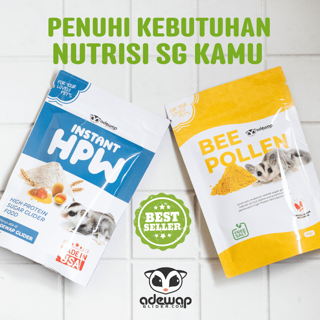 ADEWAP GLIDER Paket Hemat 2 Nutrisi Protein Wajib Sugar Glider - 2
