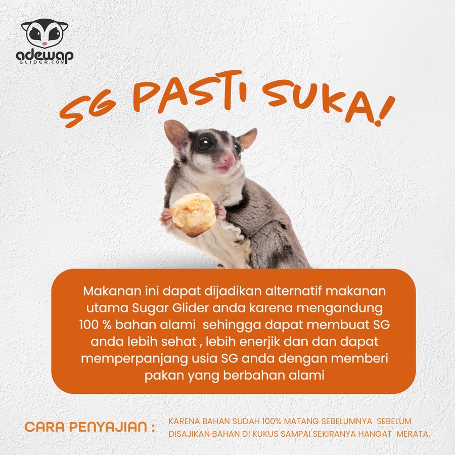 ADEWAP GLIDER Frozen Food Carrot Meatball Glider Chicken For Sugar Glider - 3