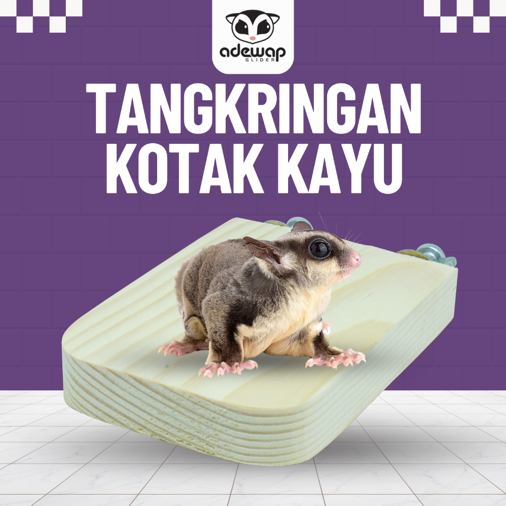 ADEWAP GLIDER Tangkringan Kandang Hewan Kotak Sugar Glider