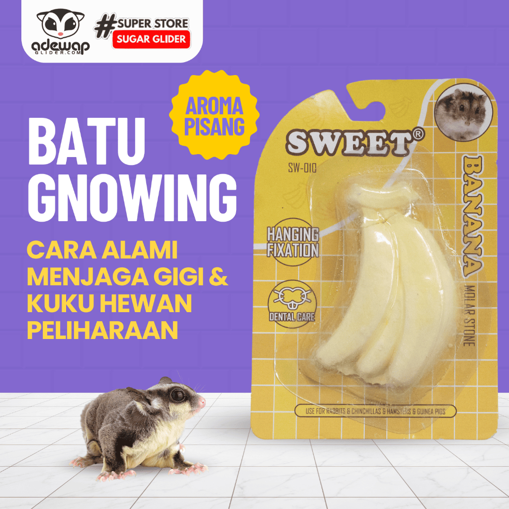 ADEWAP GLIDER Gnawing Stone Gigitan Buah Hewan Peliharaan - 7