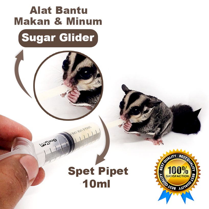 ADEWAP GLIDER Spet Alat Bantu Makan Bayi Sugar Glider - 4