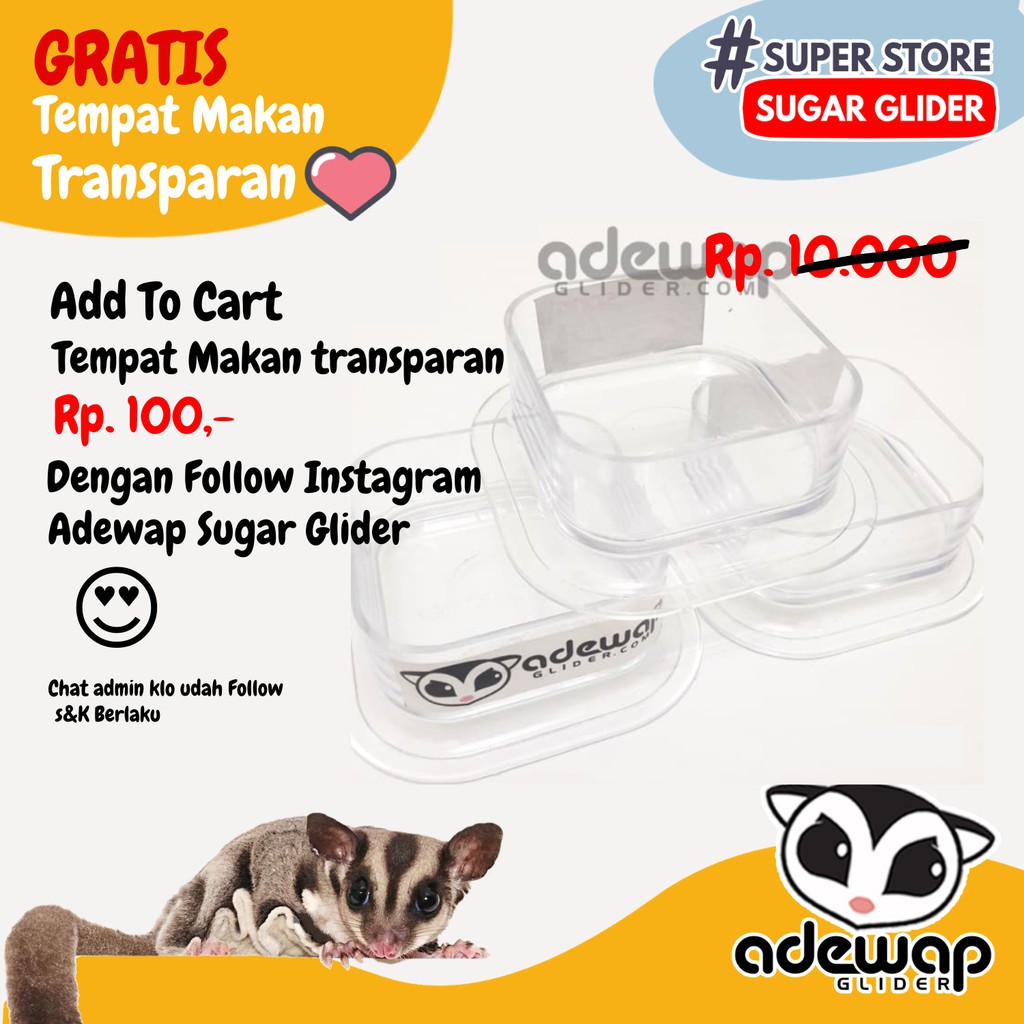 ADEWAP GLIDER Tempat Makan Bening Sugar Glider - 8