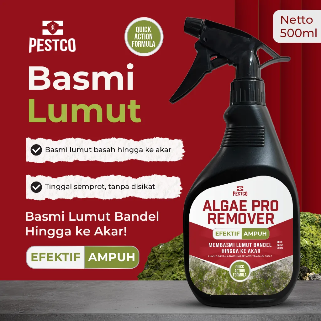 Pembersih & Anti Lumut