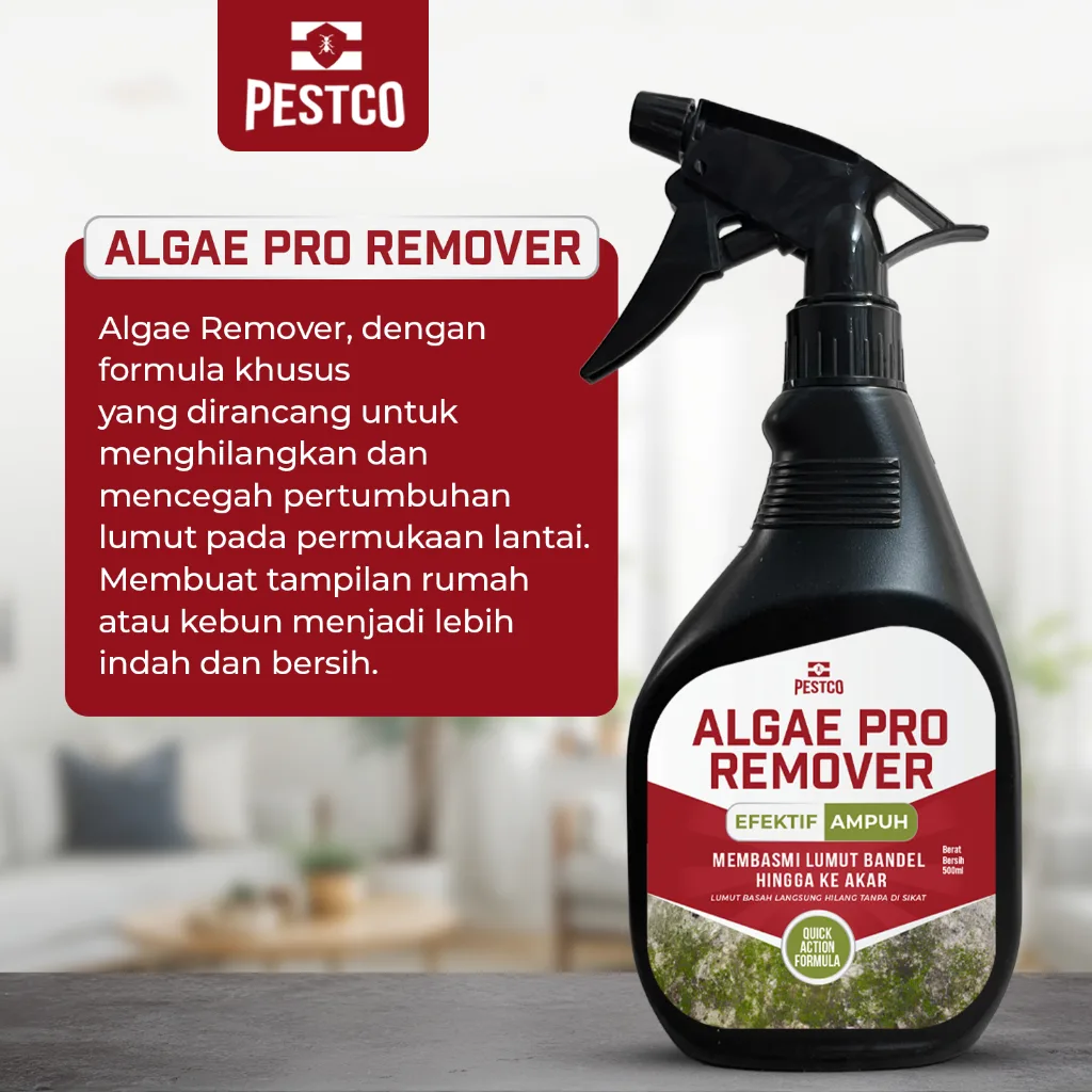 PESTCO Algae Pro Remover 500ml Cairan Pembasmi Lumut Tembok Lantai Paving Aman & Ampuh