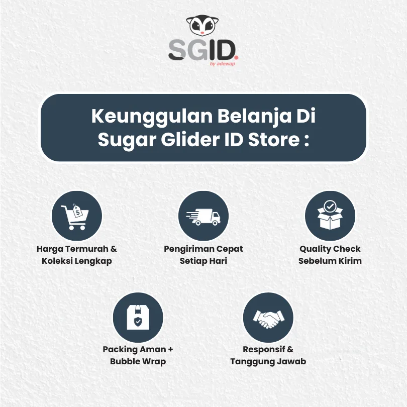ADEWAP GLIDER Minyak Gandum Wheat Germ Oil Vitamin Sugar Glider