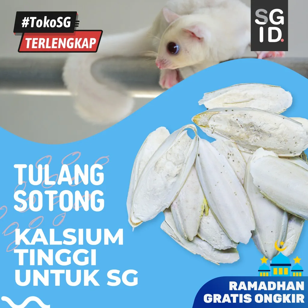 ADEWAP GLIDER Kalsium Tulang Sotong Kering Asinan Gigitan Sugar Glider