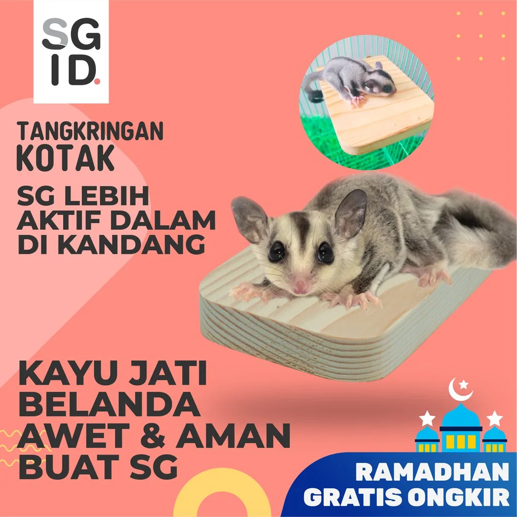 ADEWAP GLIDER Tangkringan Kandang Hewan Kotak Sugar Glider