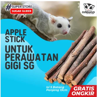 GIGITAN HAMSTER PENGERAT RODENT SUGAR GLIDER PERAWATAN GUSI DAN  KARANG GIGI