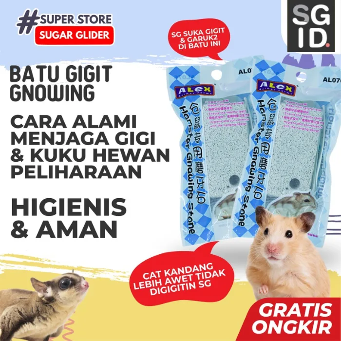 GIGITAN HAMSTER PENGERAT RODENT SUGAR GLIDER PERAWATAN GUSI DAN  KARANG GIGI