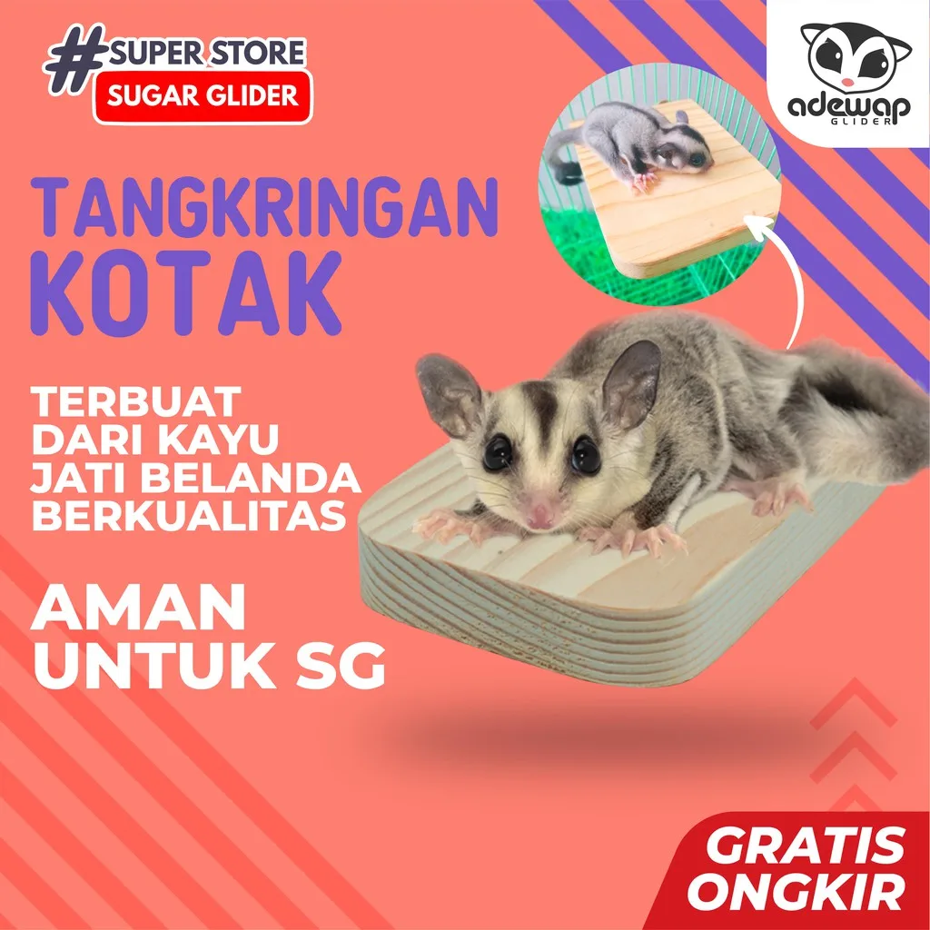 ADEWAP GLIDER Tangkringan Kandang Hewan Kotak Sugar Glider