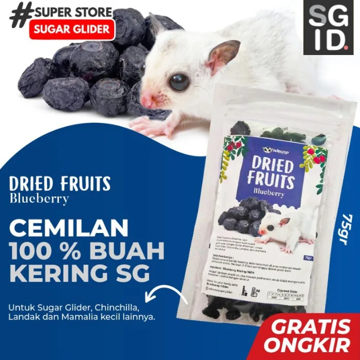 ADEWAP GLIDER Dried Blueberry Fruit Camilan Buah Kering Sugar Glider