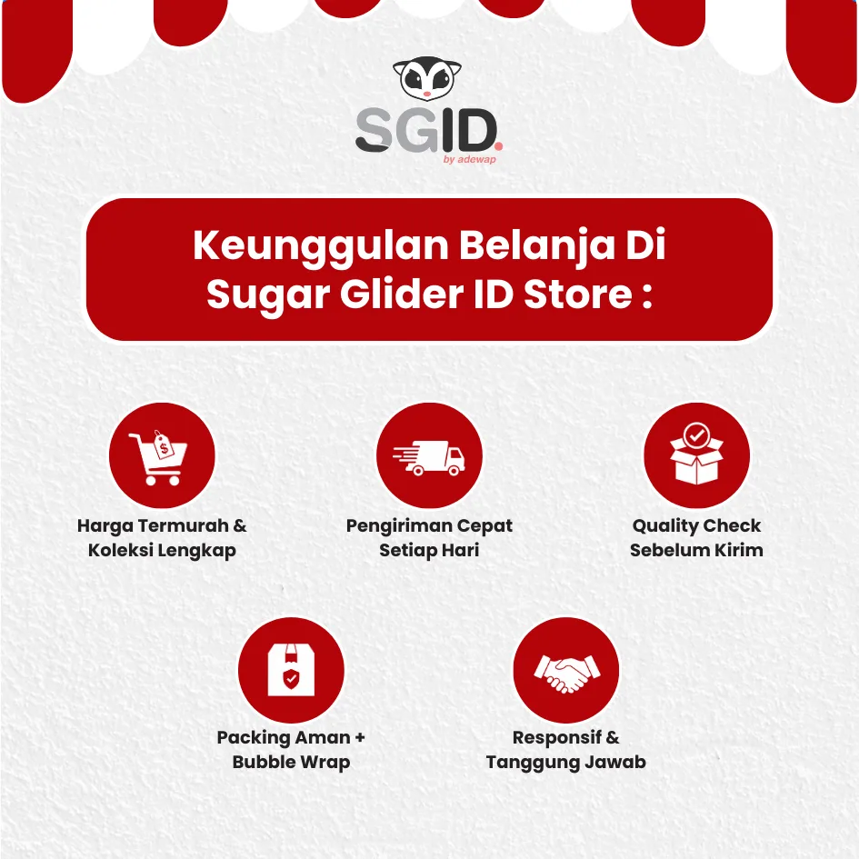 ADEWAP GLIDER Sweet Bathtub Tempat Mandi Hamster Sugar Glider