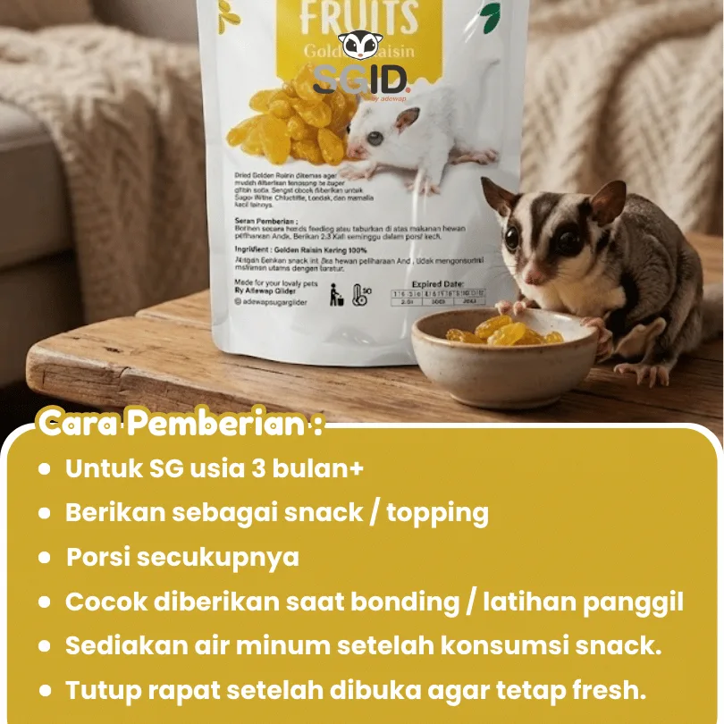Golden Raisin Dried Fruit / Buah Kismis Camilan Sugar Glider Hamster
