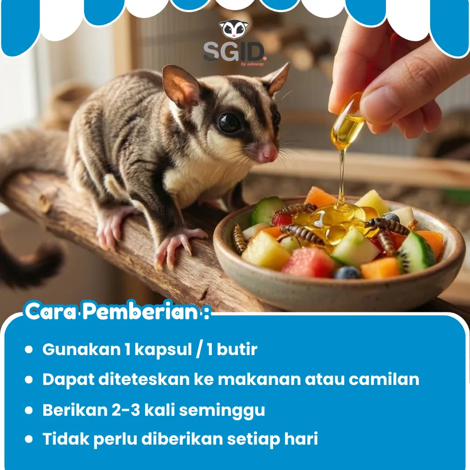 ADEWAP GLIDER Minyak Ikan Omega 3 Sugar Glider Fish Oil 40 Butir – Minyak Ikan  Suplemen Bulu & Kesehatan