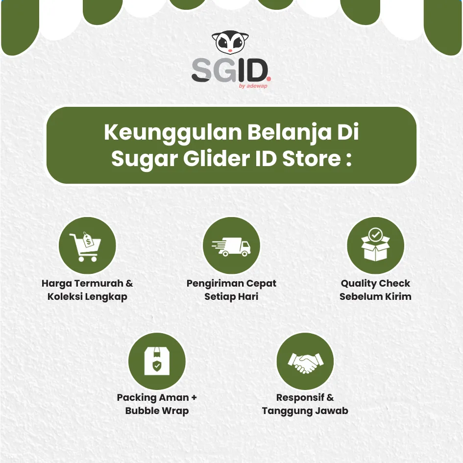 ADEWAP GLIDER Daun Ranting Articifial Sri Gading Hiasan Kandang Sugar Glider