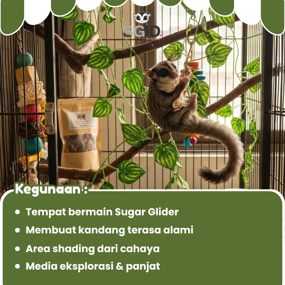 ADEWAP GLIDER Daun Ranting Articifial Sri Gading Hiasan Kandang Sugar Glider