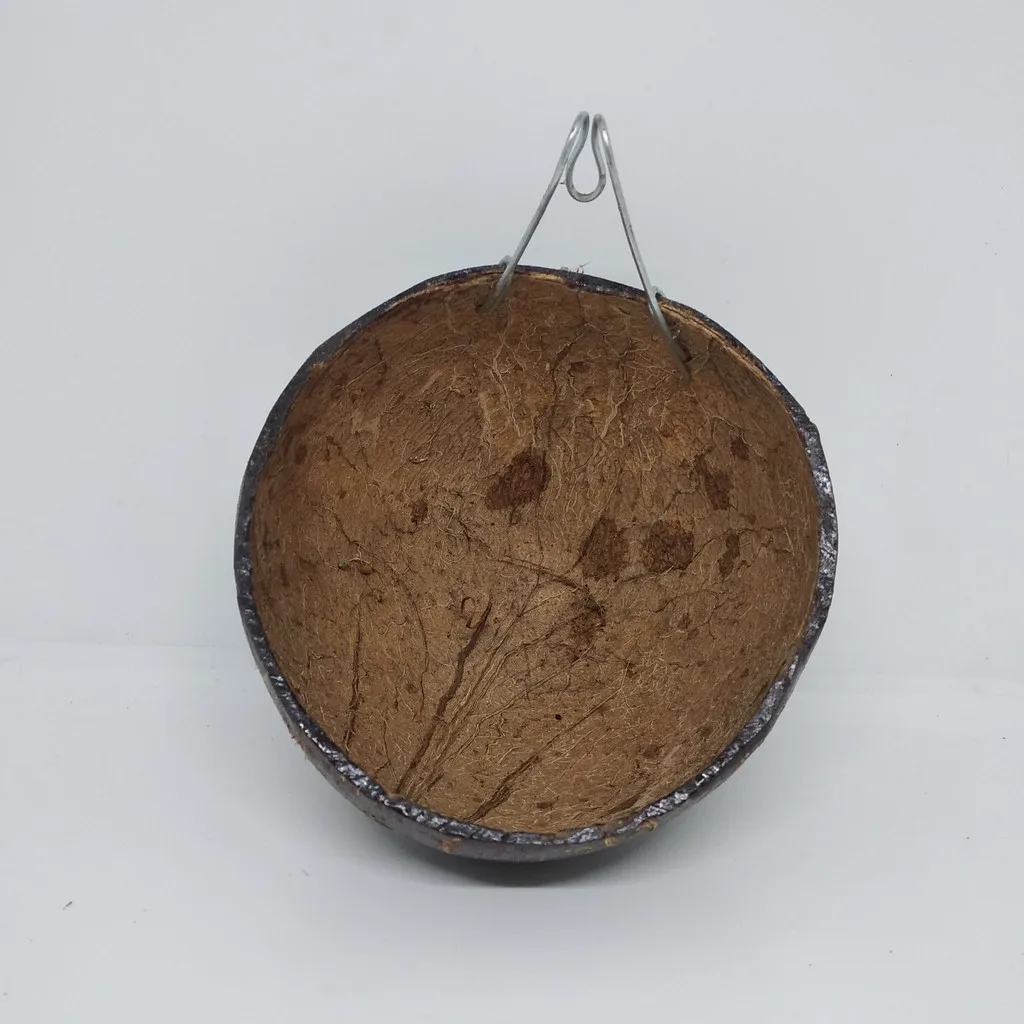 Sleeping pouch tempat tidur Batok Kelapa asli untuk sugar glider tupai terbang hamster & hewan lain