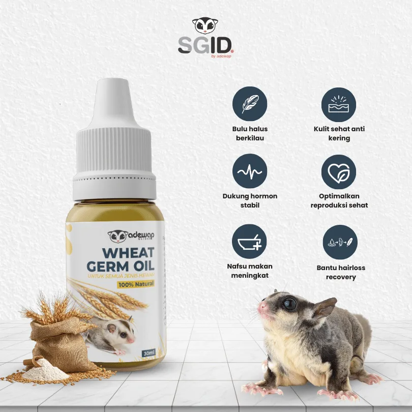ADEWAP GLIDER Minyak Gandum Wheat Germ Oil Vitamin Sugar Glider