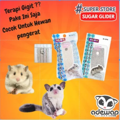 GIGITAN HAMSTER PENGERAT RODENT SUGAR GLIDER PERAWATAN GUSI DAN  KARANG GIGI