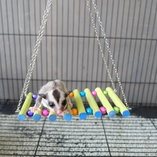Ayunan Kayu mainan sugar glider tupai hamster Rantai Manik Aksesoris Kandang