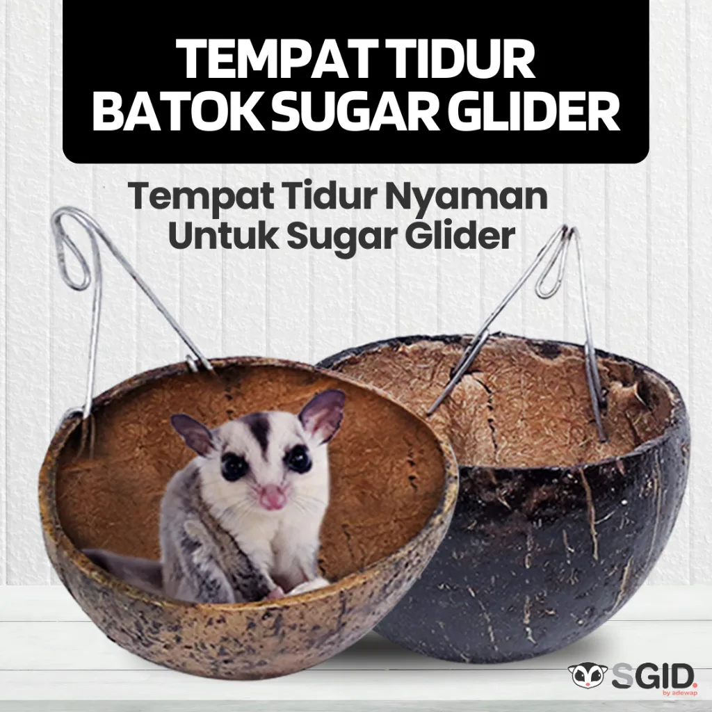 Sleeping pouch tempat tidur Batok Kelapa asli untuk sugar glider tupai terbang hamster & hewan lain