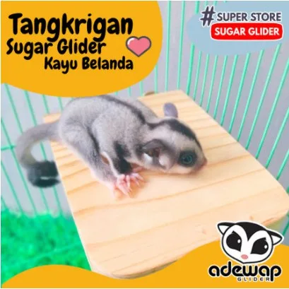 SGID Tangkringan Kotak Kandang Sugar Glider Mainan Aksesoris Kandang M