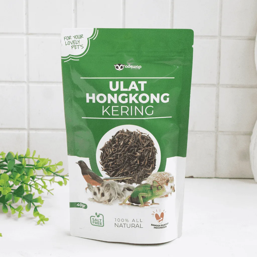 Ulat Hongkong Kering Pakan Sugar Glider Burung Tupai Terbang Landak mini Arwana